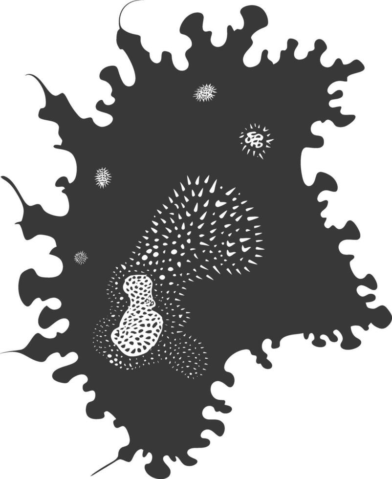 Silhouette amoeba animal black color only vector