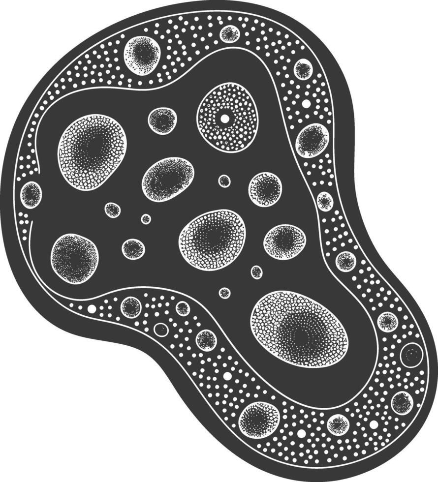 Silhouette amoeba animal black color only vector