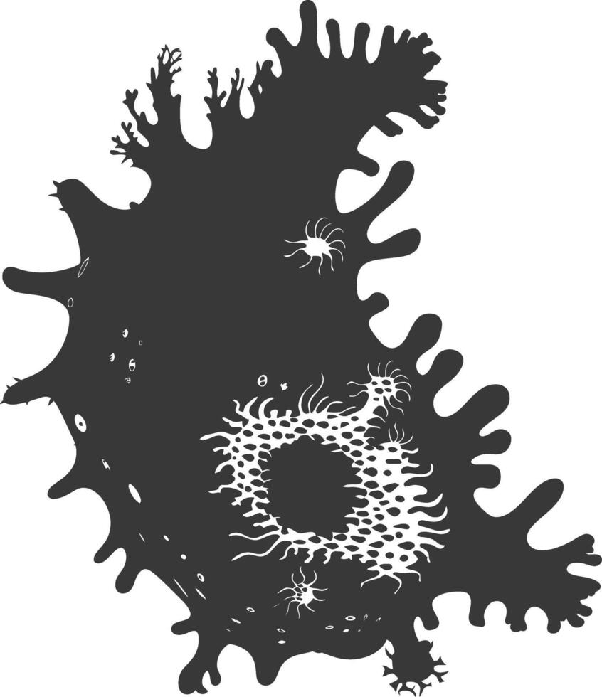 Silhouette amoeba animal black color only vector