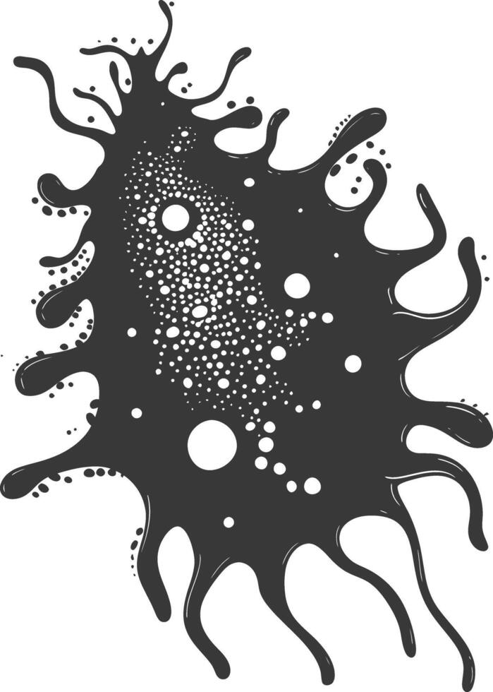 Silhouette amoeba animal black color only vector