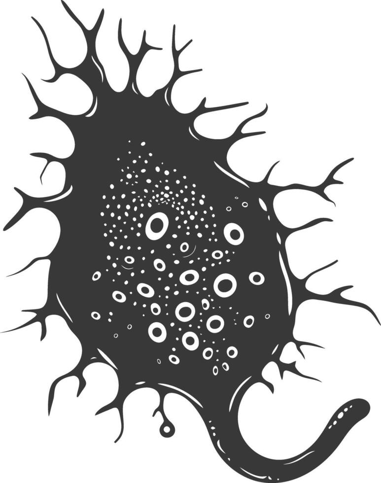 Silhouette amoeba animal black color only vector