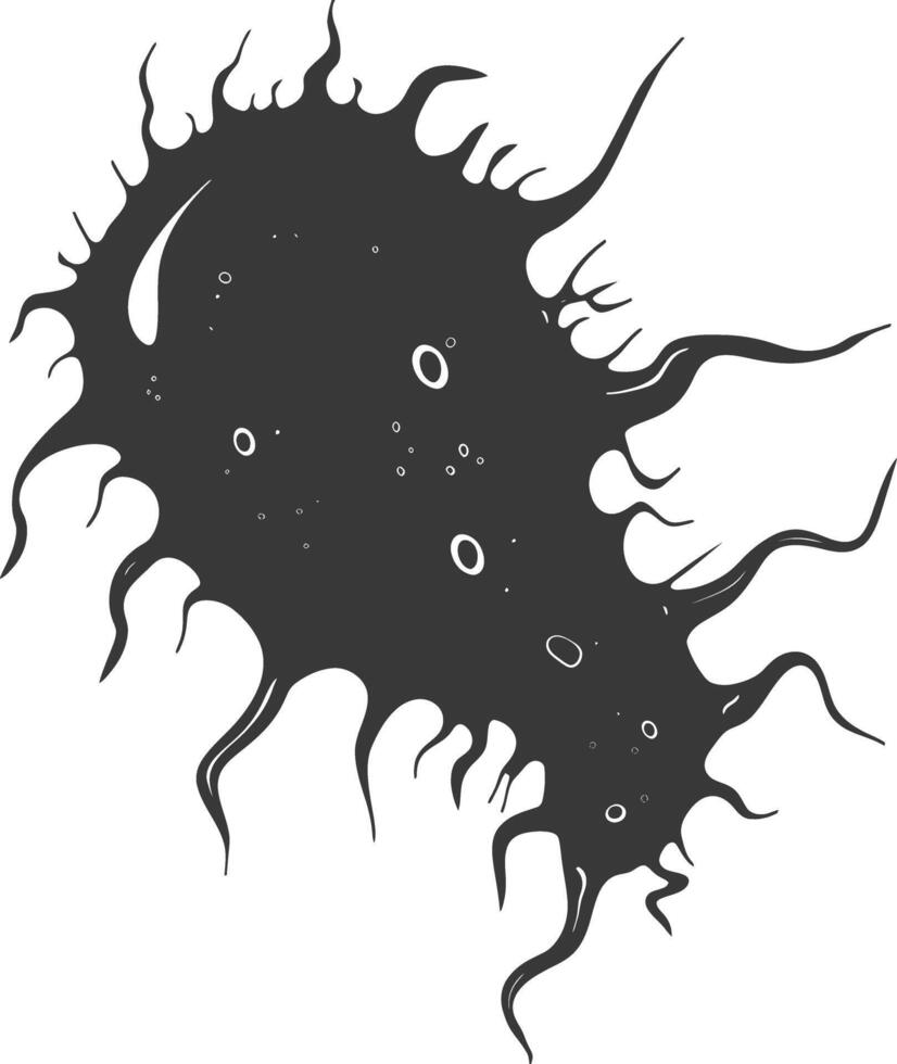 Silhouette amoeba animal black color only vector