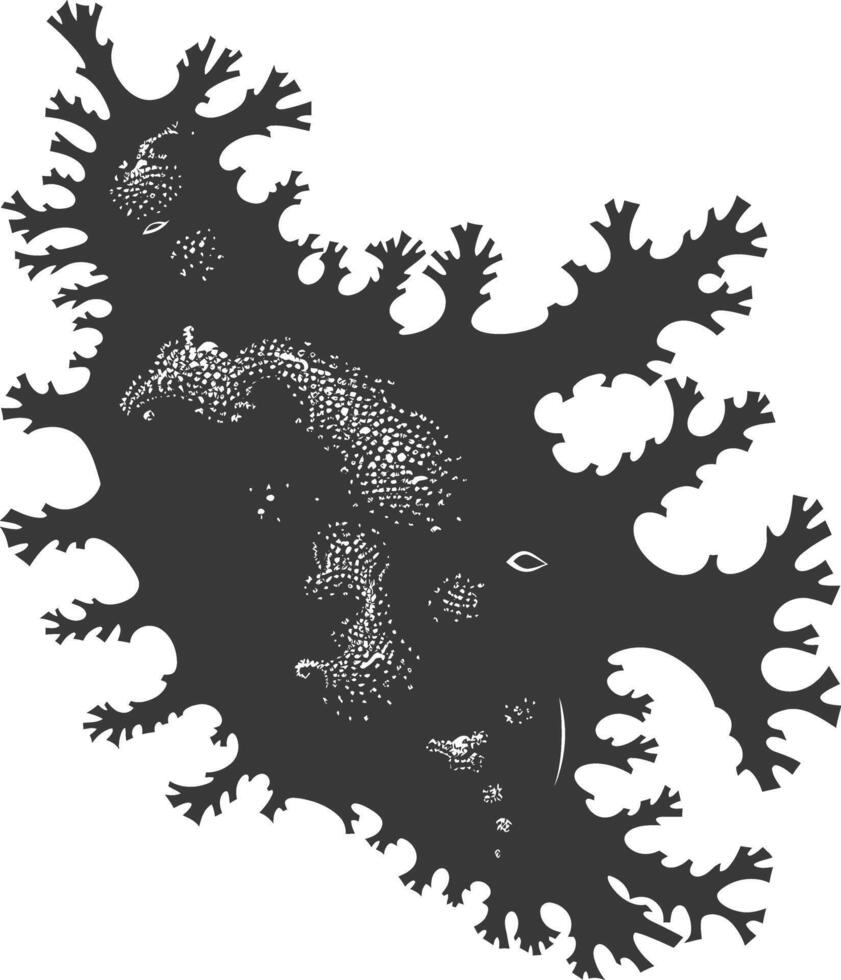 Silhouette amoeba animal black color only vector