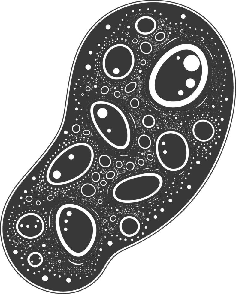 Silhouette amoeba animal black color only vector