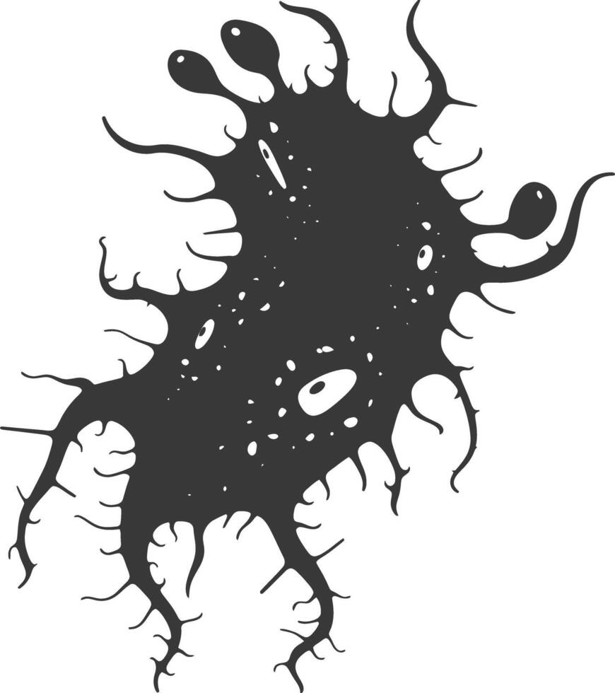 Silhouette amoeba animal black color only vector