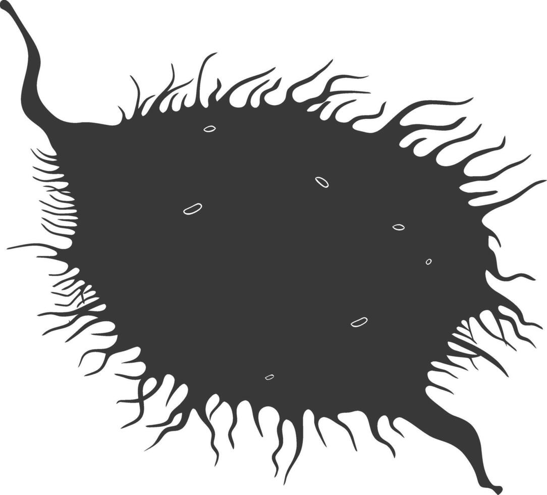 Silhouette amoeba animal black color only vector