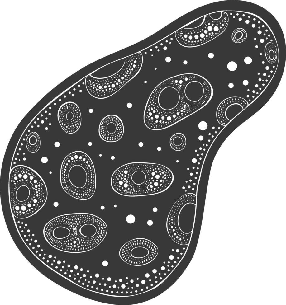 Silhouette amoeba animal black color only vector