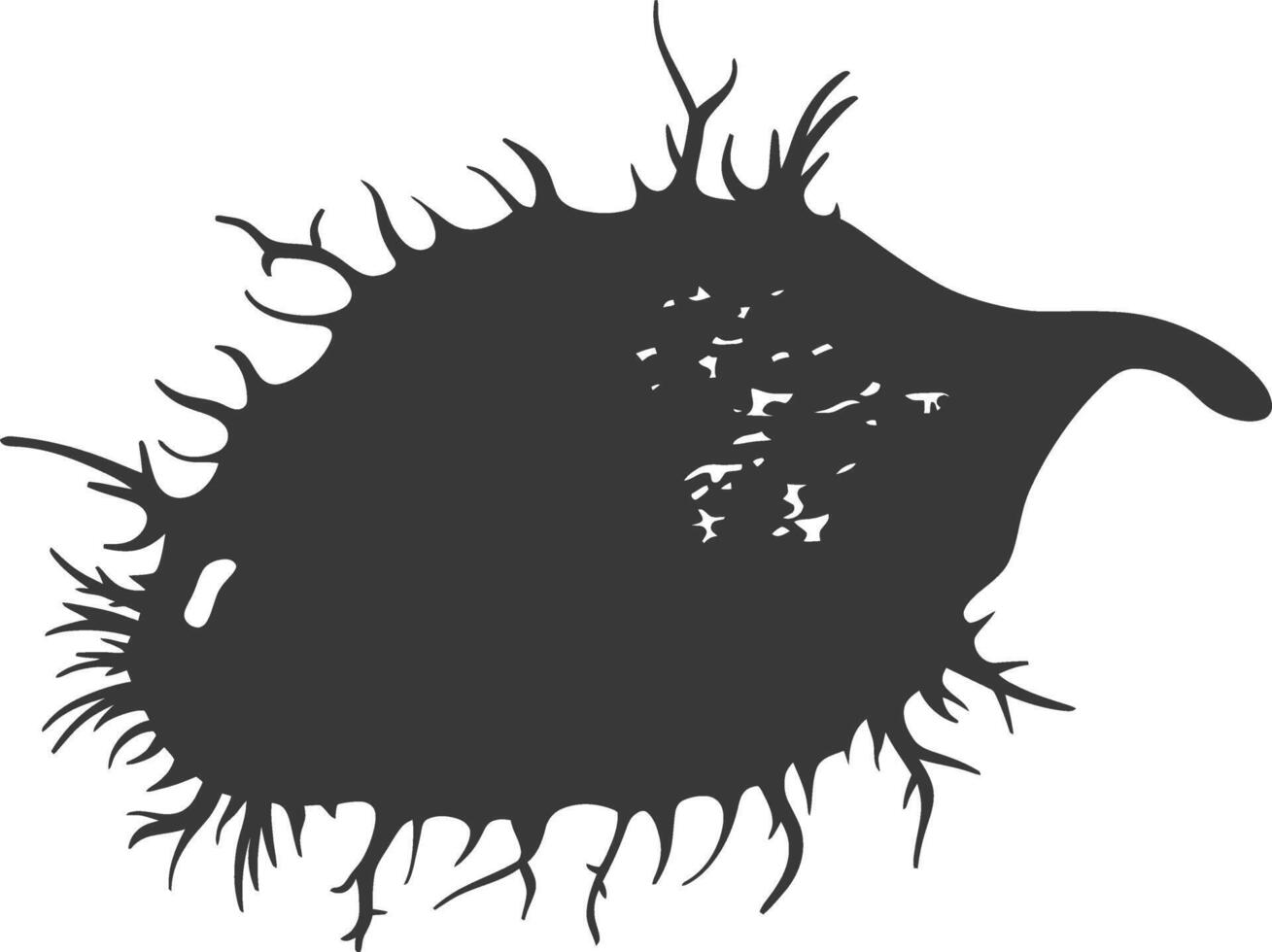 Silhouette amoeba animal black color only vector