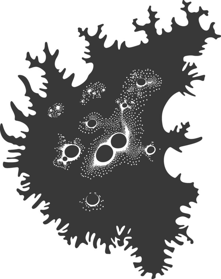 Silhouette amoeba animal black color only vector