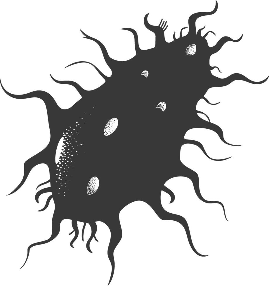 Silhouette amoeba animal black color only vector
