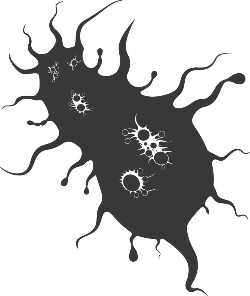 Silhouette amoeba animal black color only vector