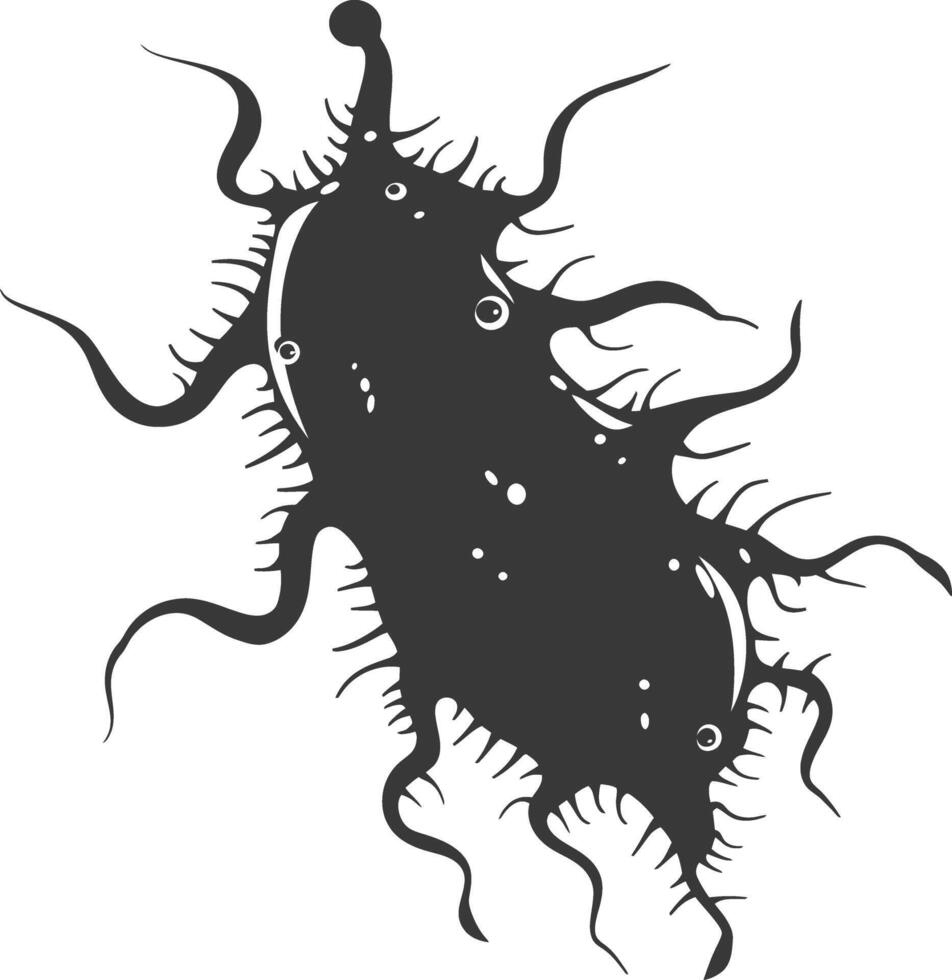 silueta ameba animal negro color solamente vector