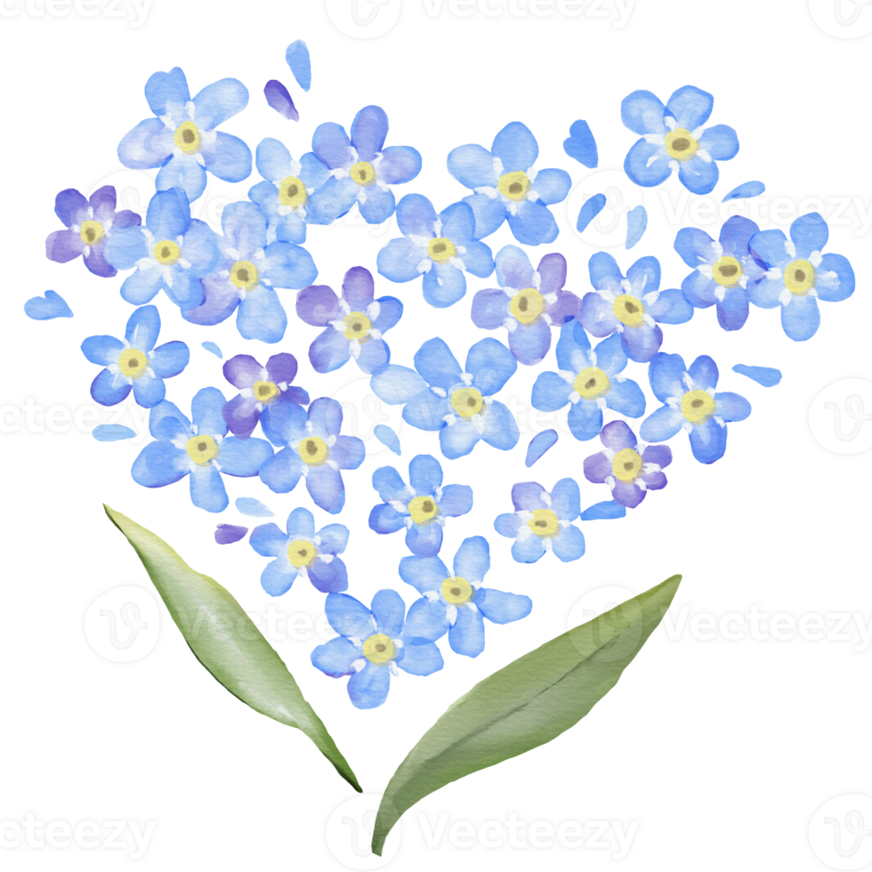 Forget me not Heart Flower Watercolor Isolated png