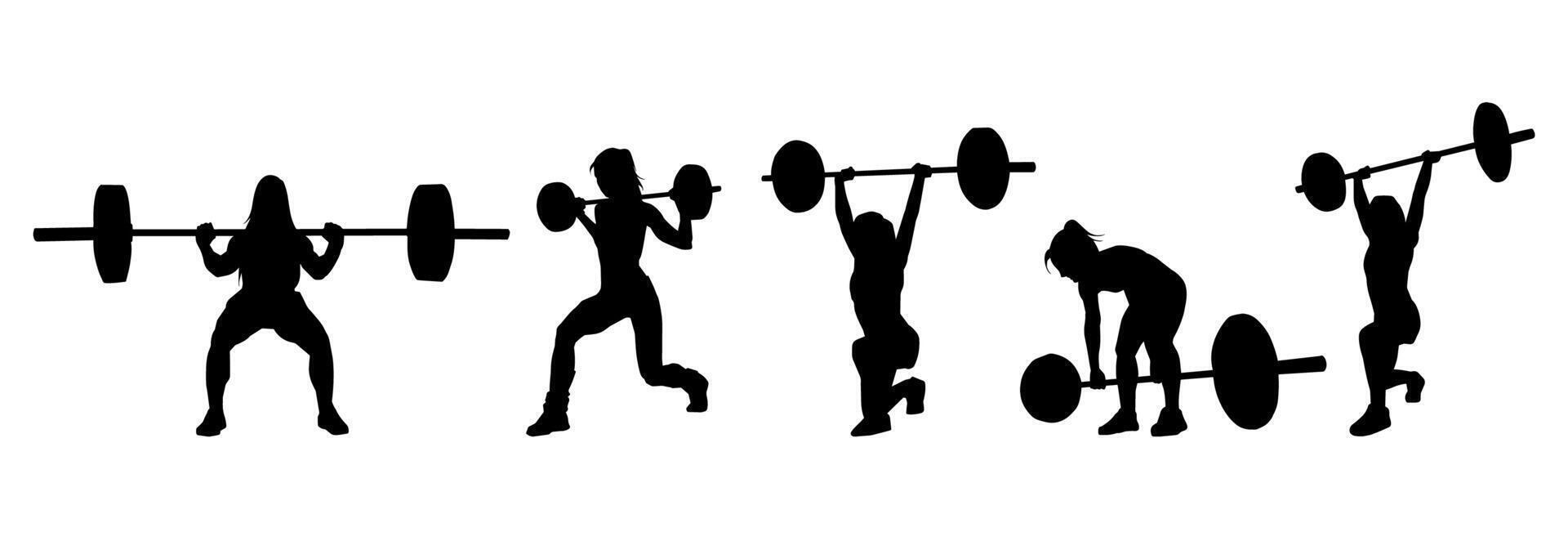 silueta colección de peso levantamiento hembra atleta en acción pose. silueta grupo de mujer atleta en peso levantamiento deporte. vector