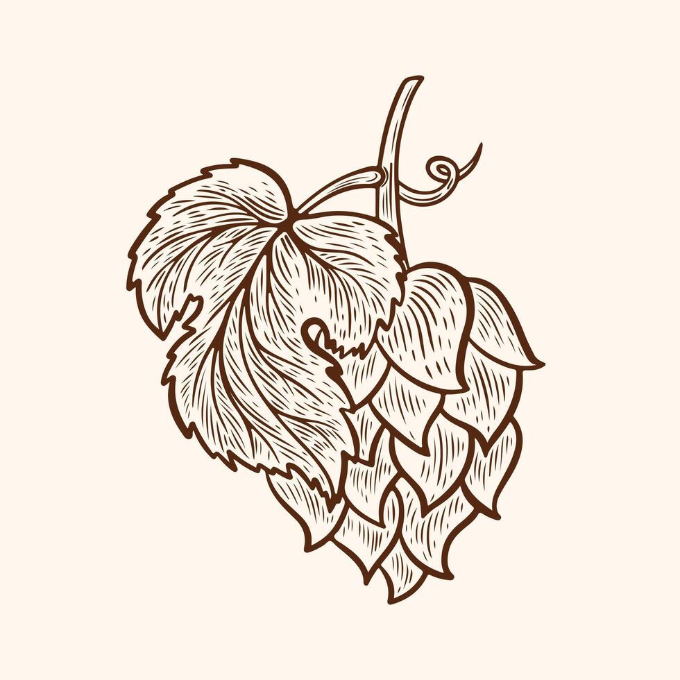 drawing of hops in line art style vector