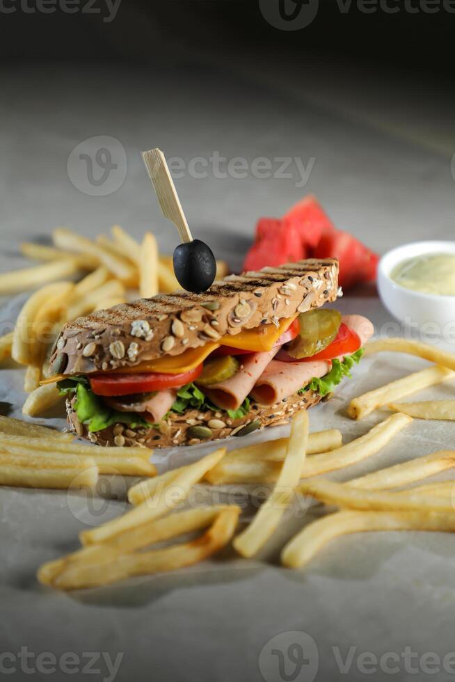 Smoked Chicken Sandwich with fries and mayonnaise dip isolated on dark background side view of breakfast food photo