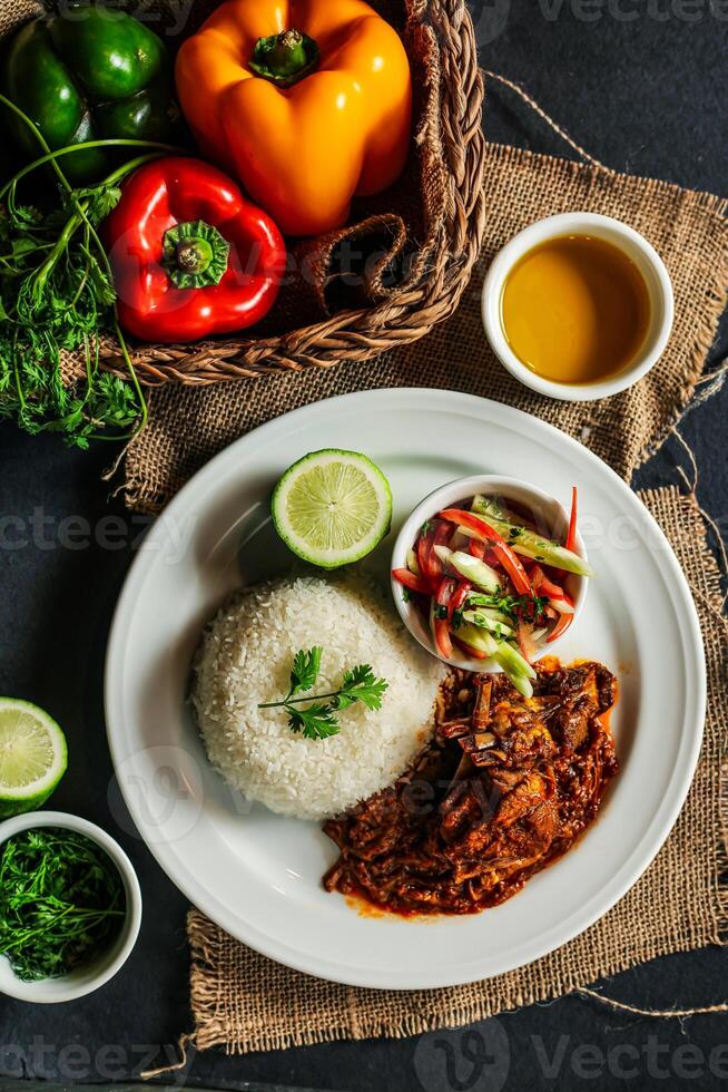Jamaican Mutton gravy with plain rice, salad, tomato, cucumber dip, sauce and bell pepper served in plate isolated on napkin top view of lunch food photo