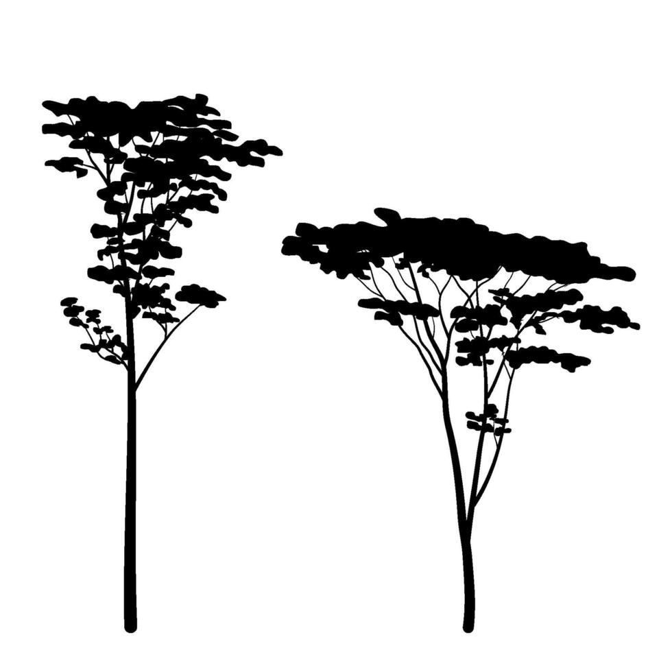 Albizia chinensis or commonly named silk tree silhouette collection vector