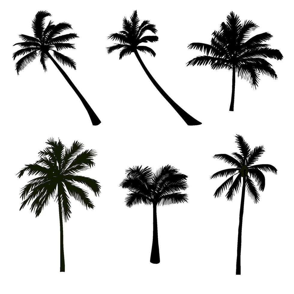 Coconut Tree Silhouette Collection vector