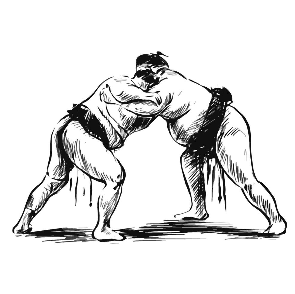 Drawing of Sumo Wrestlers Facing Off vector