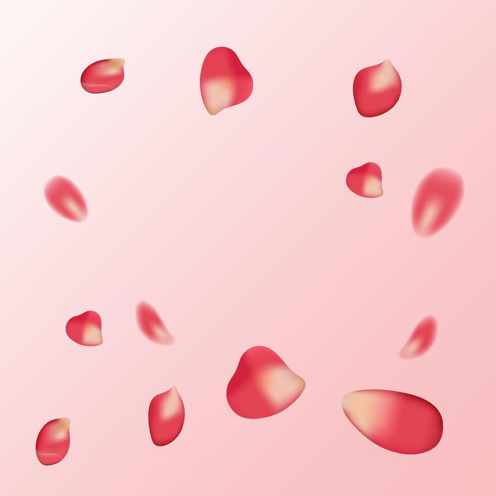 realistic red rose petals on transparent background, frame, for postcard, march 8, birthday, mother's day vector