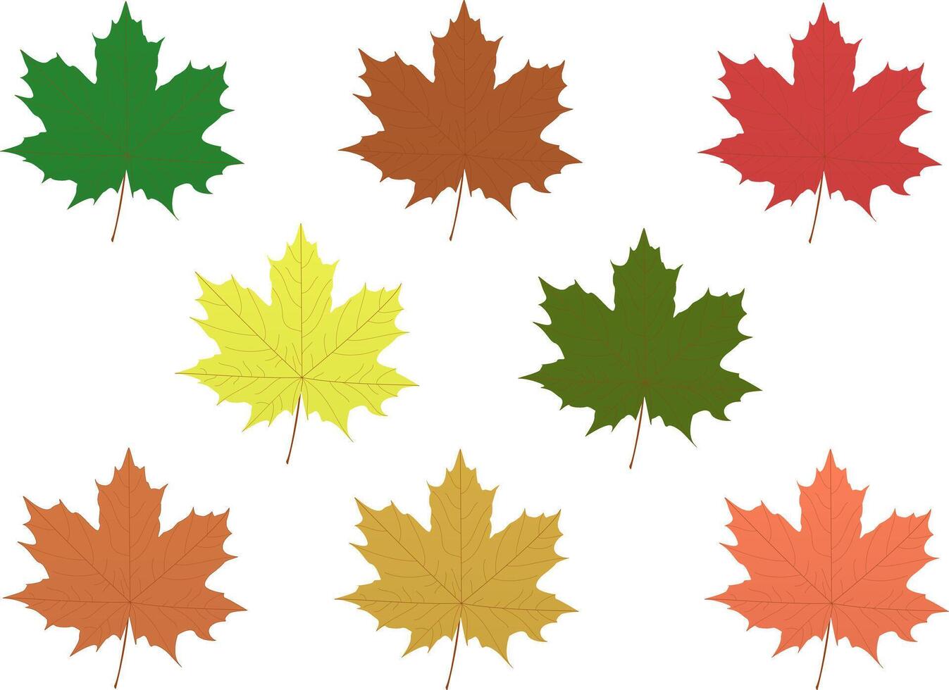 Multicolored autumn maple leaves on transparent background, fall vector