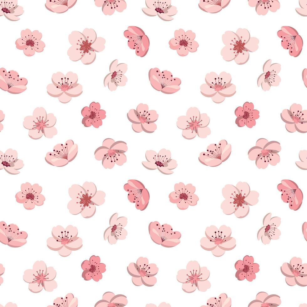 cherry-blossom-seamless-pattern-sakura-flowers-isolated-on-white-background-cute-floral-print-43124785-vector-art-at-vecteezy