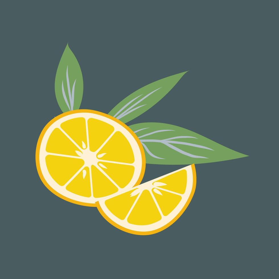 Half a lemon with slices on a dark background. Can be used to create a logo. illustration. vector