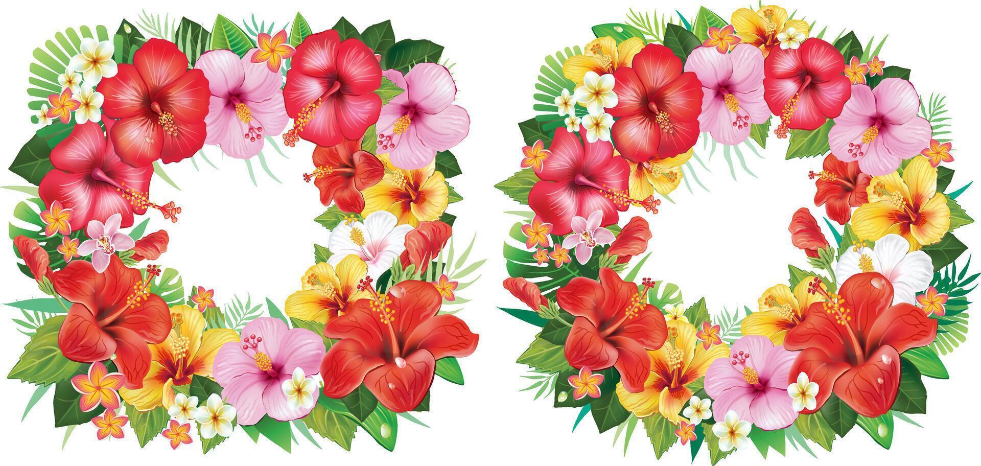 Frame and Wreath from Hibiscus Flowers and Tropical Leaf vector