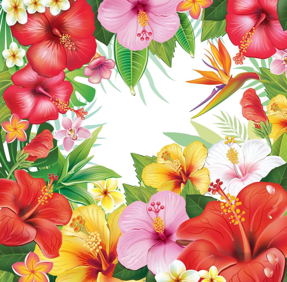 PrintFrame and Wreath from Hibiscus Flowers and Tropical Leaf vector