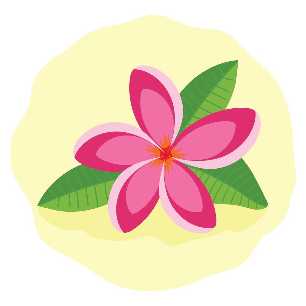 Pink Frangipani or Plumeria Tropical Flower vector