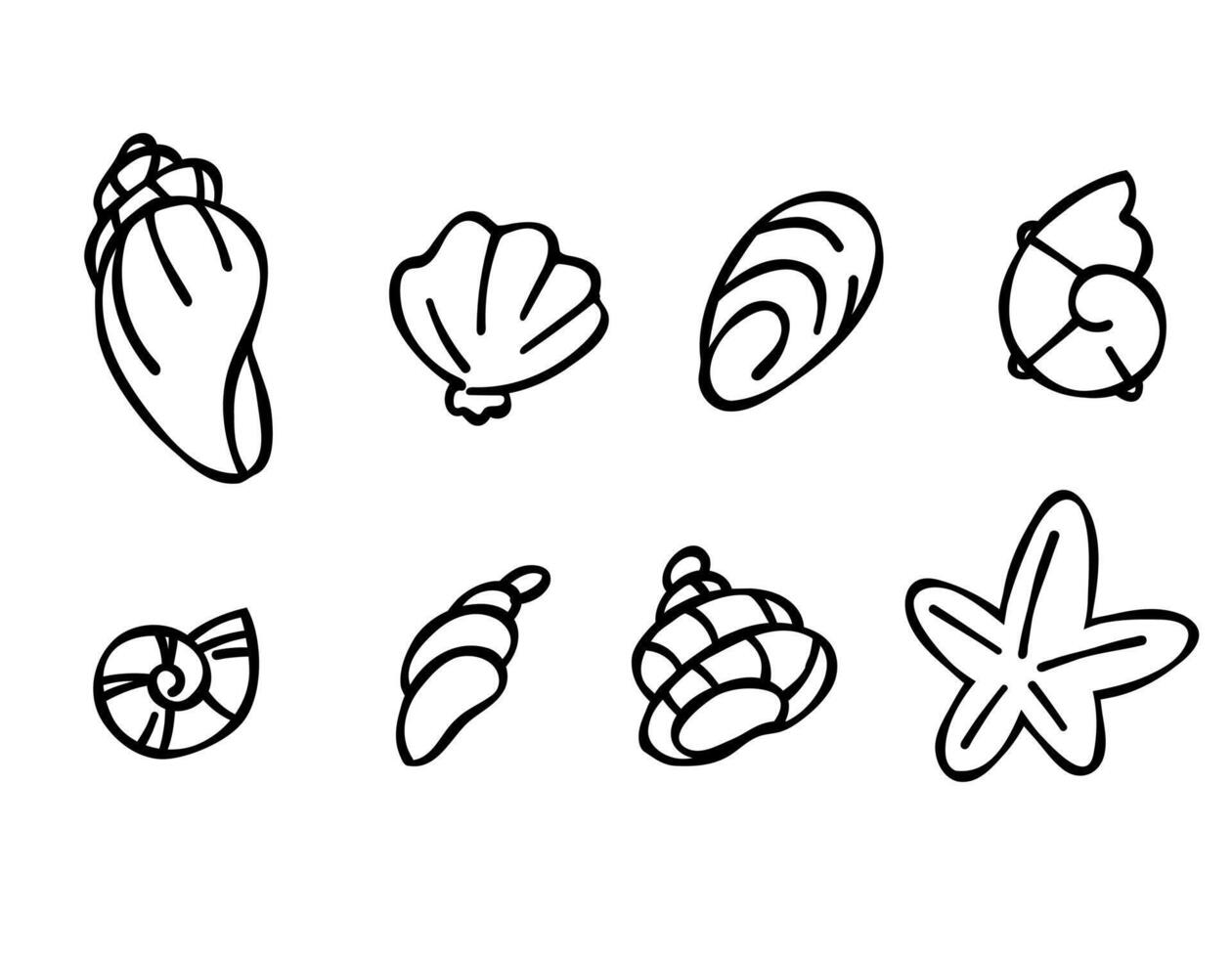 Set of seashells in doodle style, black outline sketch isolated elements on white background for design template. Ocean flora. Coloring. Clip art vector