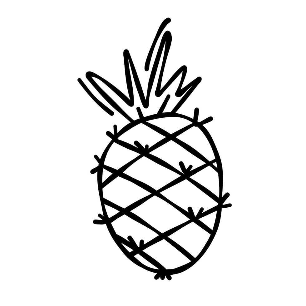 Doodle drawing of pineapple isolated on white background, drawn by pen. Thumbnail for coloring the booking page. illustration of vega fruit vector