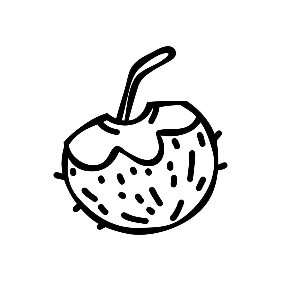 Doodle drawing of coconut cocktail isolated on white background, drawn by pen. Thumbnail for coloring the booking page. vector