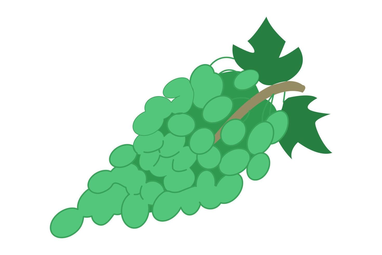 manojo de verde uvas. plano estilo. baya fruta. ingrediente para vino o jugo. maduro kishmish. dulce alimento. cosecha desde el viñedo. hojas y bayas. aislado. ilustración vector