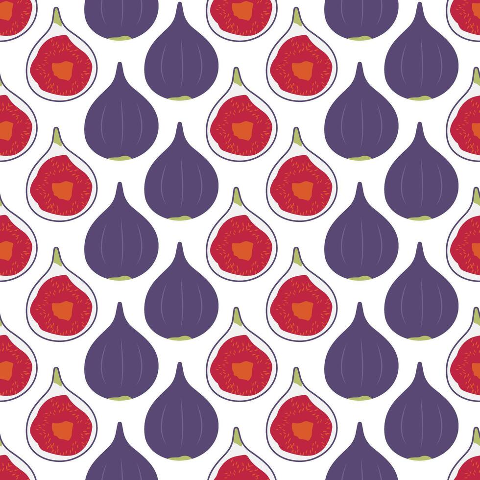 Fig pattern. Sweet fruit pulp. Half cut purple fruit. Harvesting. Food on a white background. Vegan food. Summer pattern. illustration vector