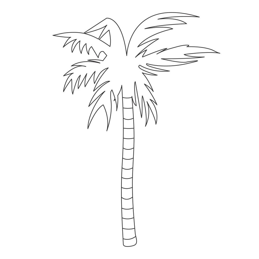 Palm tree sketch. Tropical beach tree. Palm leaves. Outline exotic plant. Linear botany. Tree trunk. isolated object. Drawn. Nature. Illustration. vector