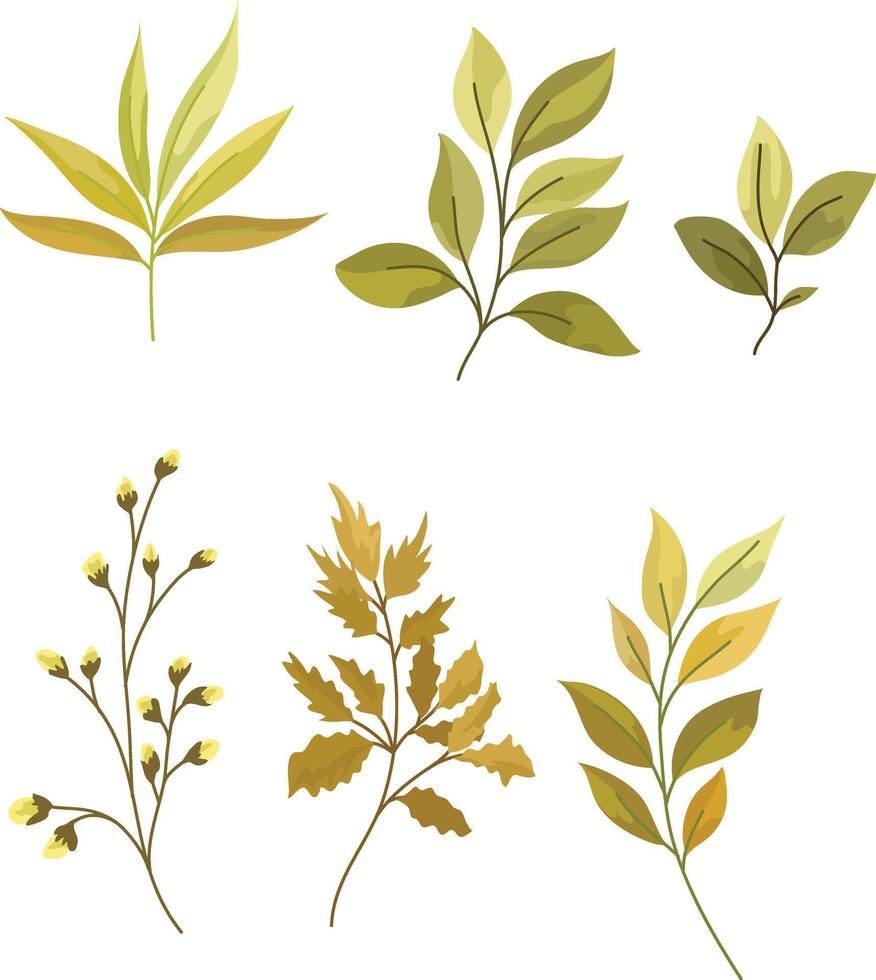 leaves and wild flowers on a white background. illustration vector
