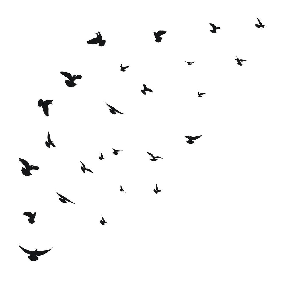 Sketch of a silhouette of a flock of migrating, flying birds. Takeoff, flying, flight, flutter, fly, hover, soar, landing, isolated vector