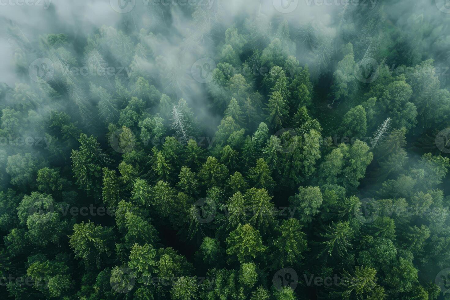 AI generated Aerial view of Nordic forest in fog. Nature landscape photo