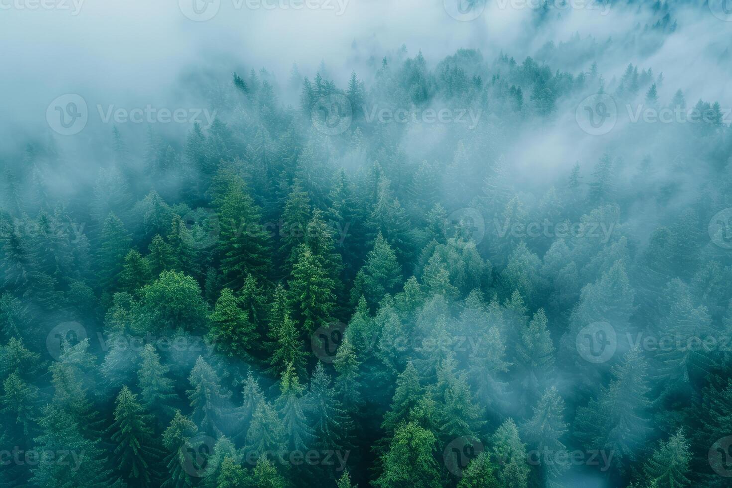 AI generated Aerial view of Nordic forest in fog. Nature landscape photo