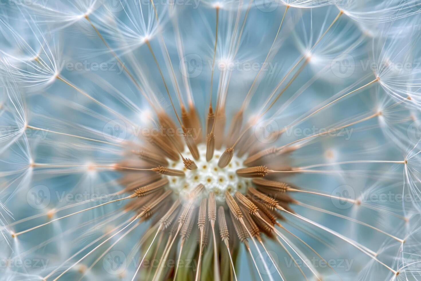 ai generado Blowball de diente de león con mullido semilla foto