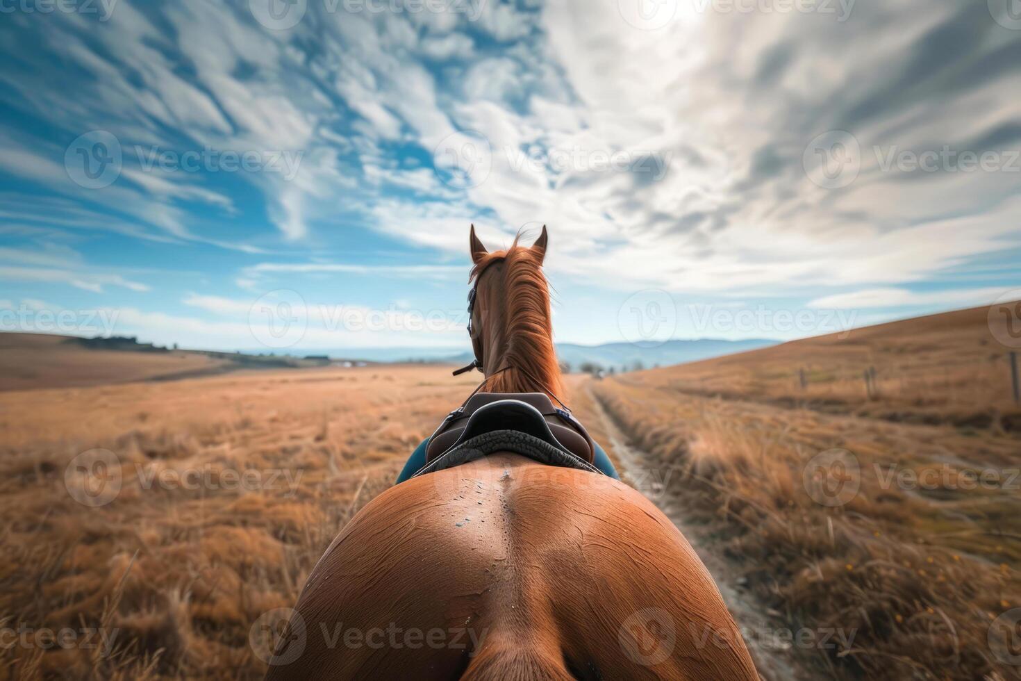 Rear view of horse riding in field photo