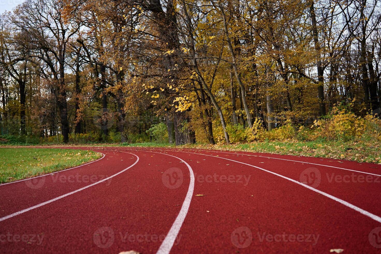 rojo corriendo carrera pista con carriles a otoño parque foto