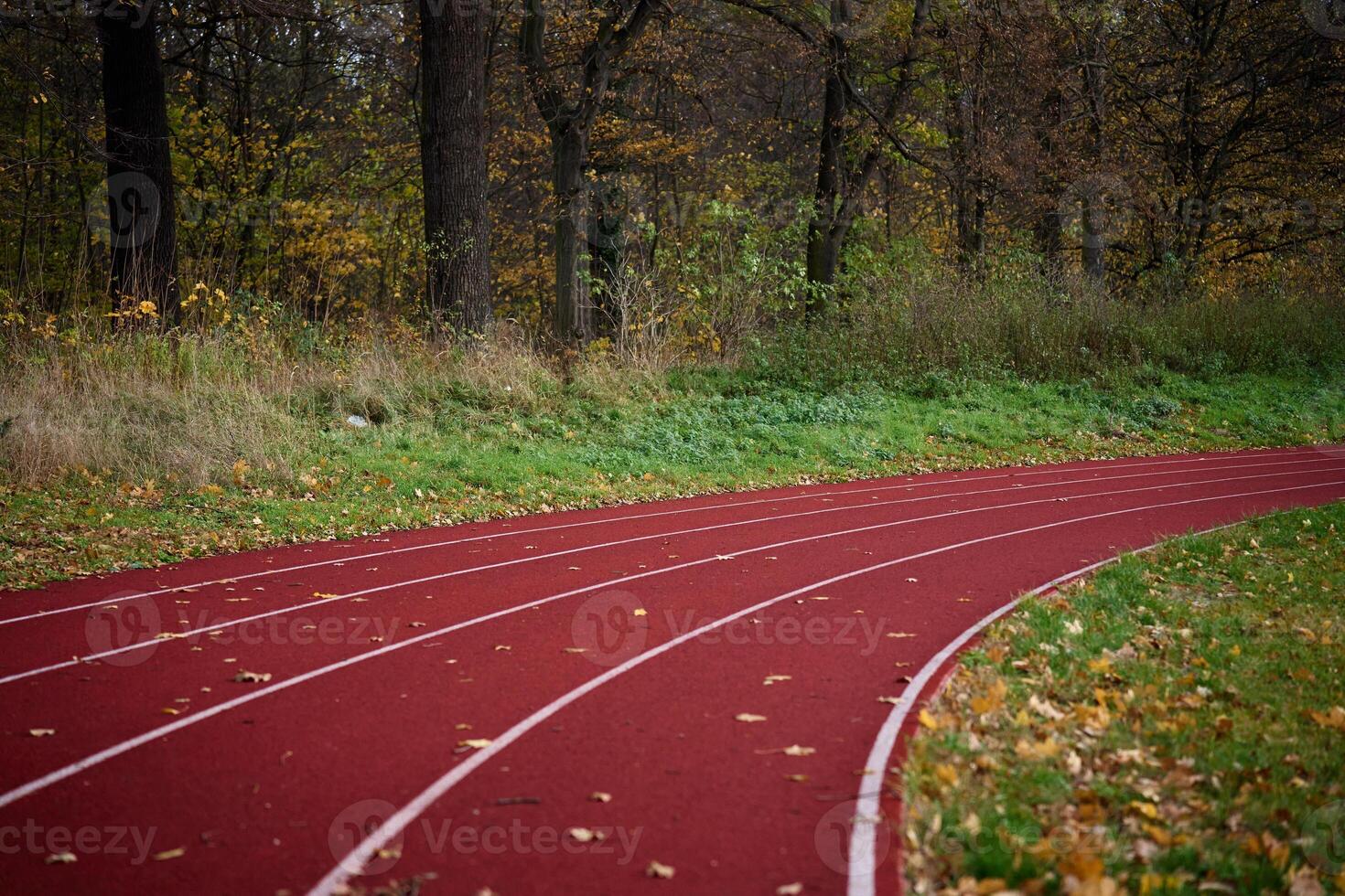 Red runninng race track with lanes at autumn park photo