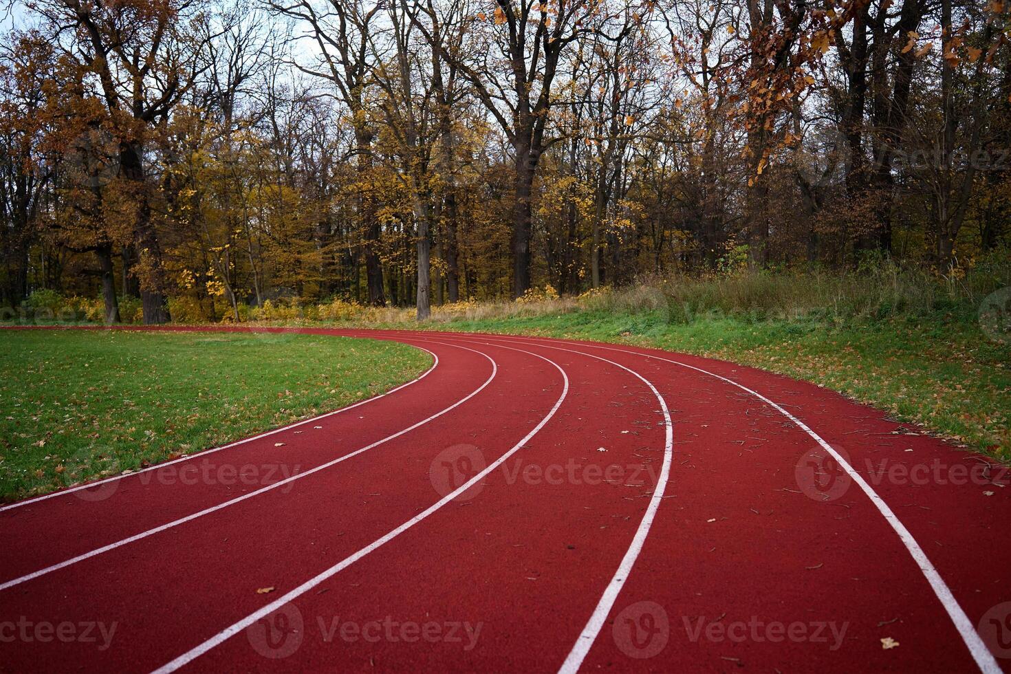 Red runninng race track with lanes at autumn park photo