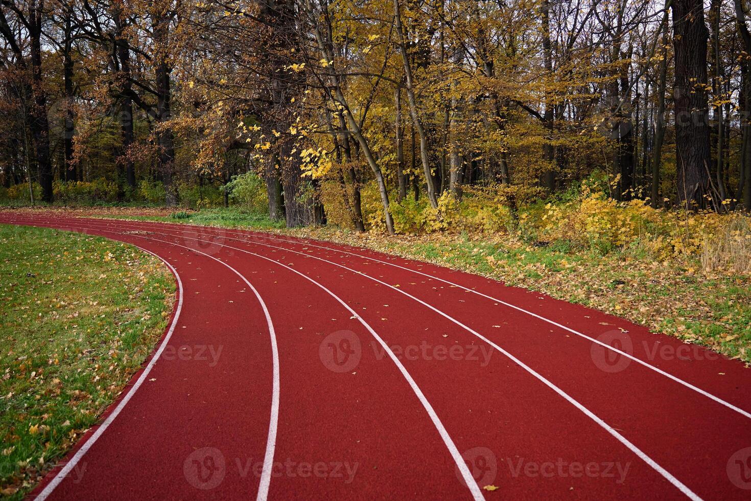 rojo corriendo carrera pista con carriles a otoño parque foto