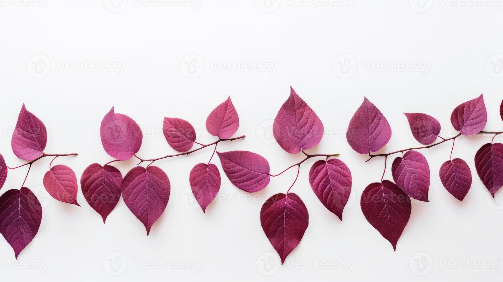 AI generated Leaves against a white background for easy isolation. Generative AI photo