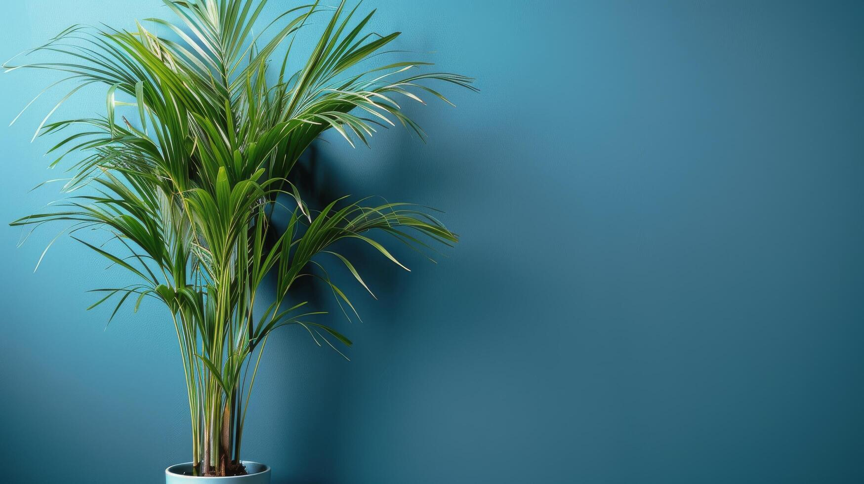 ai generado en conserva planta en contra azul pared foto