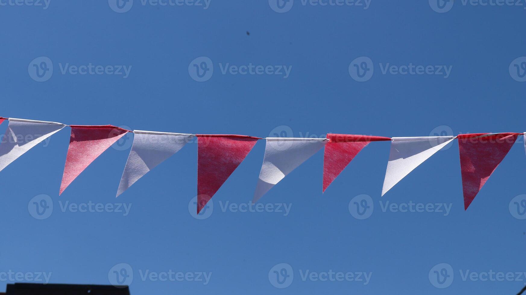 Housing complex in rural area with Indonesian flags celebrating Indonesian independence day photo